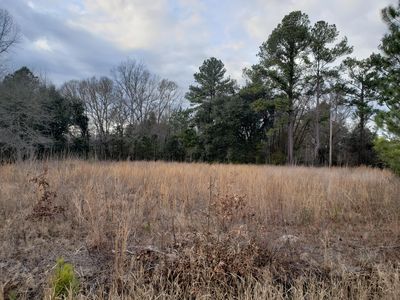 0 Oakman Branch Rd, Walterboro, SC, 29488