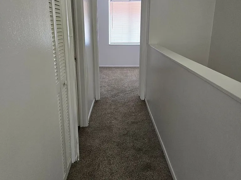 5508 Pokeweed Ct — Photo 20