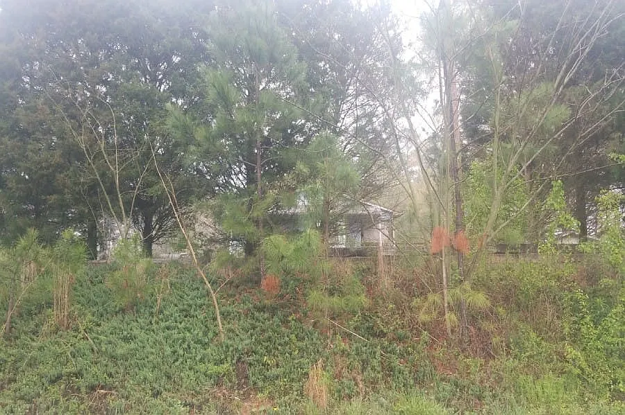 75 Boulevard Dr photo 1
