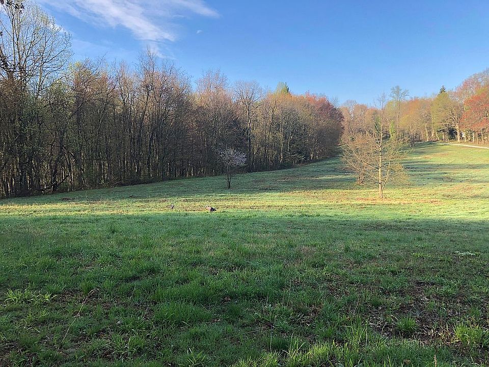 Clearing at rear of property