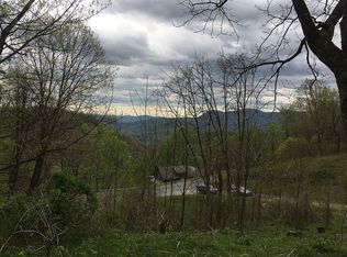 80 Fremont Dr, Leicester, NC 28748