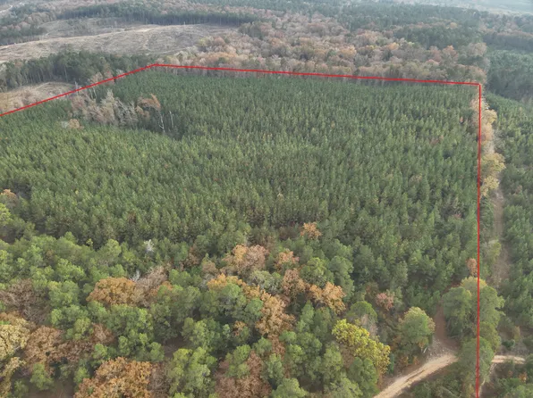 075MI N Of Ouachita Rd #75, Chidester, AR 71726