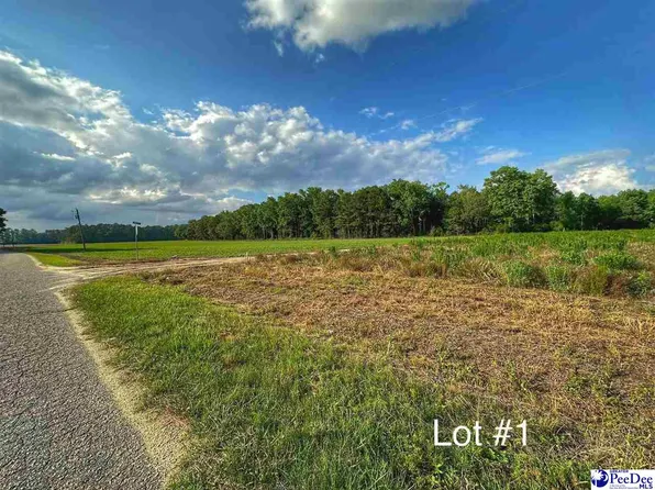 LOT 1 Oliver Rd, Hamer, SC 29547