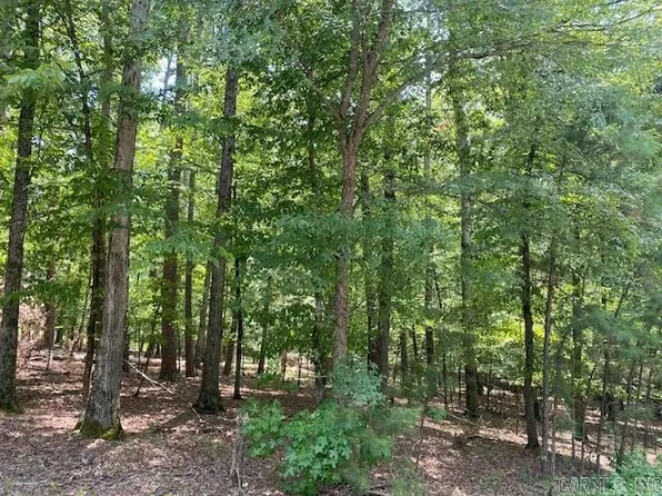 1 Robinwood Cir, Mount Ida, AR 71957