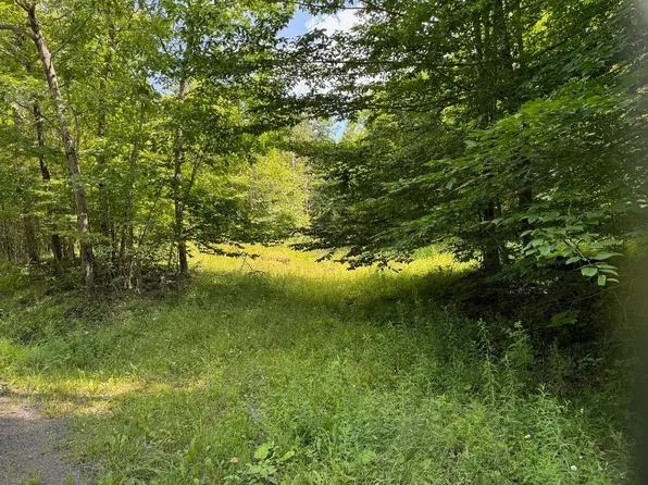 130 William Law Rd, Windsor, NY 13865