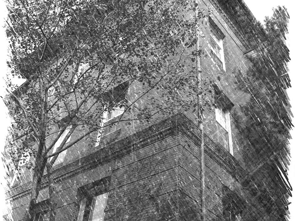 2nd image of 54 Forest St APT 313