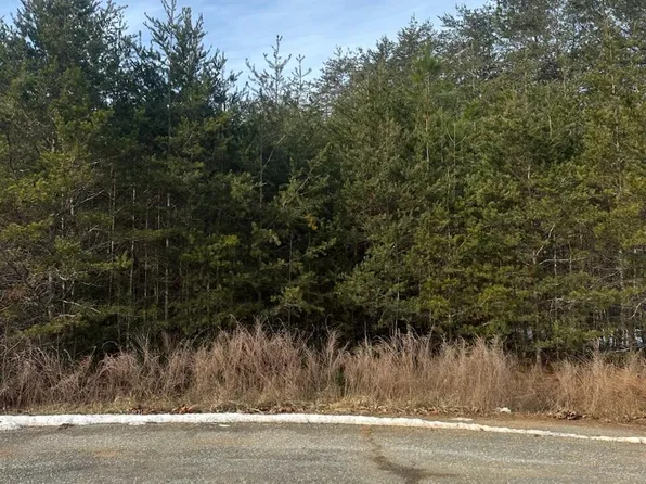 50 Dillon Cabin Rd, Moneta, VA 24121