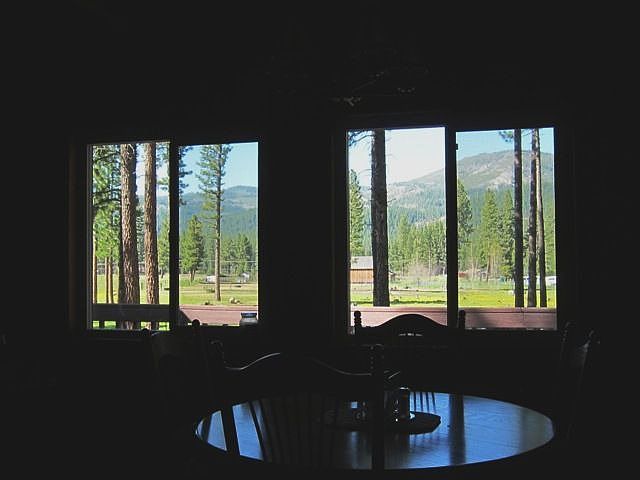 Window views