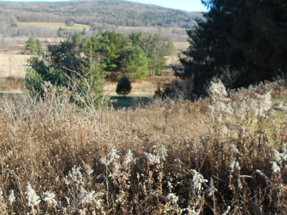 4th image of 0 County Highway 11