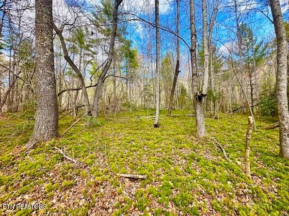 144 Gunter Pl, Sunbright, TN 37872