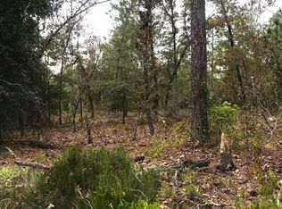 Lots 33&34 Monroe St, Interlachen, FL 32148