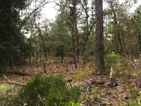 LOTS 33&34 MONROE Street, Interlachen, FL 32148