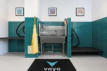 Vaya — Photo 29