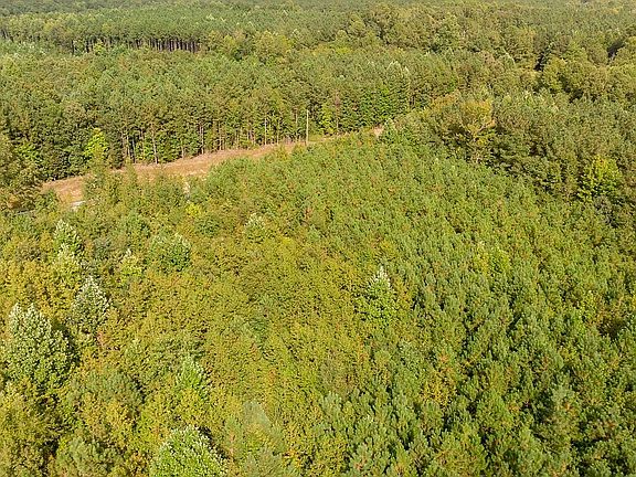 4th image of 0 State Highway 43