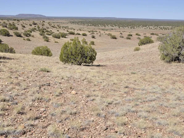 14 County Road 5525, Concho, AZ 85924
