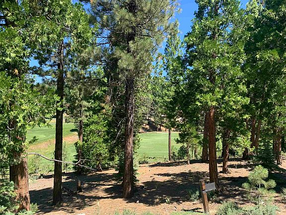2nd image of 2066 Grizzly Ranch Rd