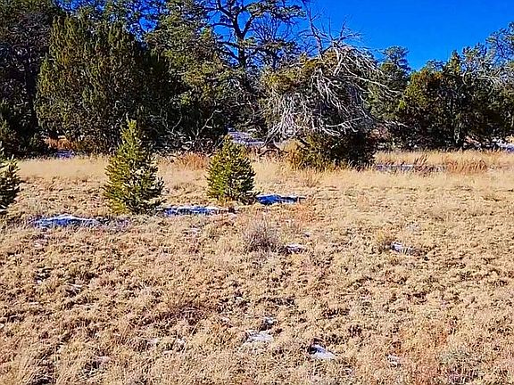 5th image of 36 W Mustang Rd