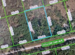 3115 Hollow Oak Ave, Lake Placid, FL 33852