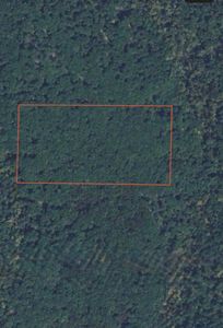 County Road 2435, Higbee, MO, 65257