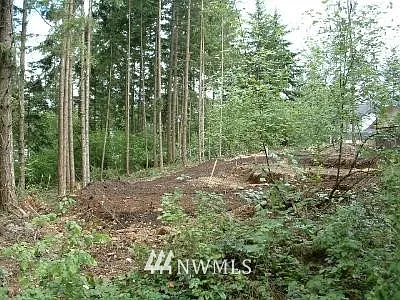 17630 Valley photo 1