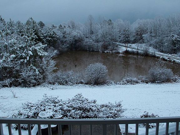 View of Pond from Porch