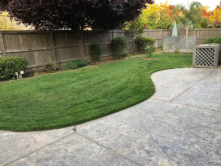 11845 Autumn Sunset Way — Photo 16