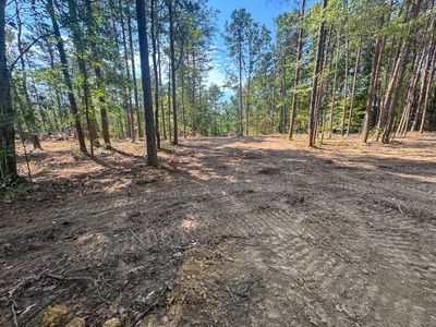 0 Richard Dorning Rd Lot 1, Hohenwald, TN, 38462