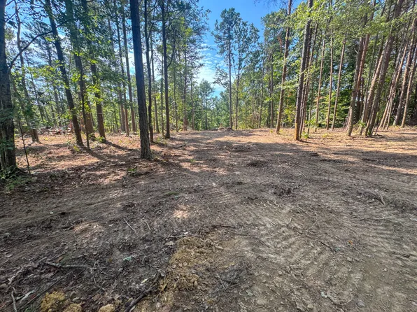 0 Richard Dorning Rd Lot 1, Hohenwald, TN 38462