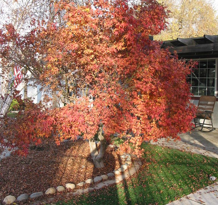 1st image of 10320 Sylvandale Ave