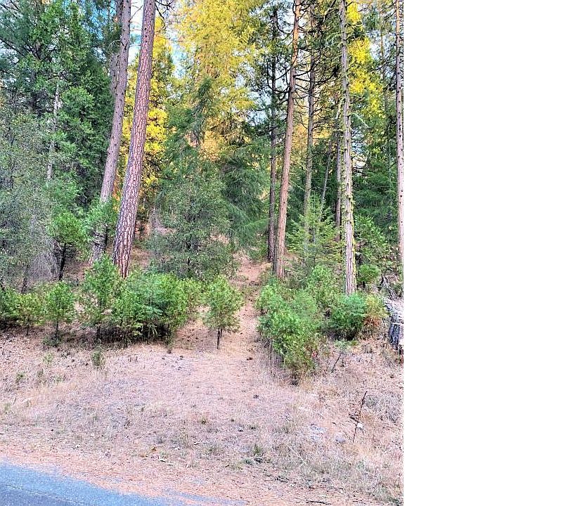 2nd image of 1901 Lily Valley Cir #1901