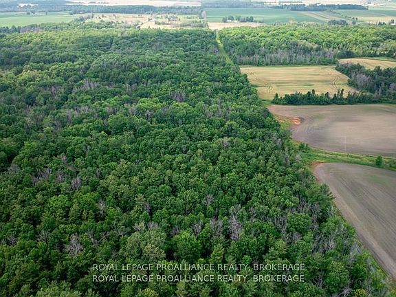 3rd image of LOT Townline Rd #C