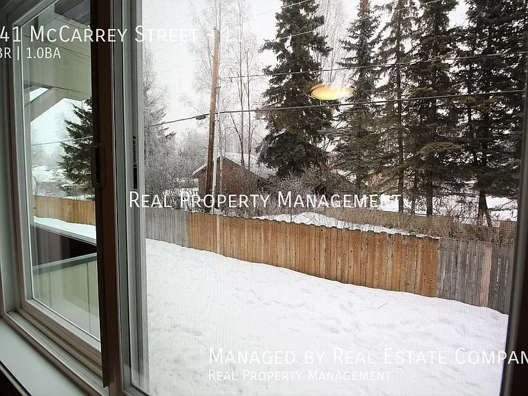 241 McCarrey St #11 — Photo 15
