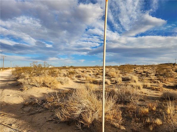 52000 Ocotillo Rd, Landers, CA 92285