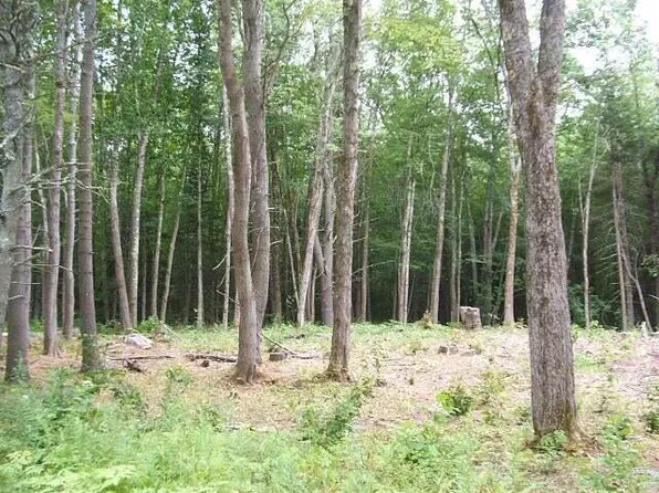 0 Campground (Lot 2) Road, Arundel, ME 04046