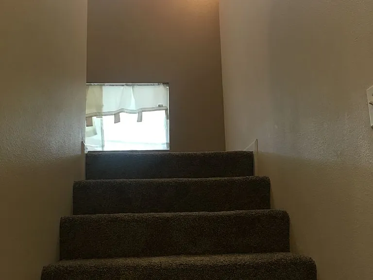 2204 Wildflower Way — Photo 15