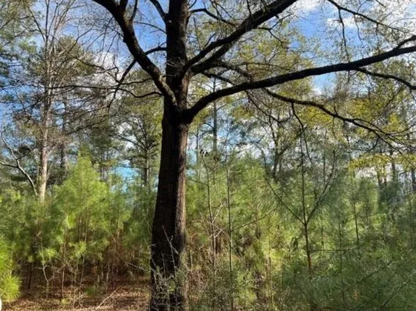 270 Edendale Rd, East Brewton, AL 36426