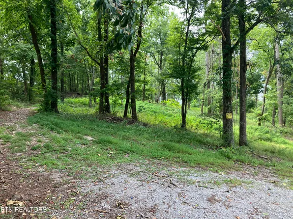 LOT 8 Grandview Ln, New Tazewell, TN 37825