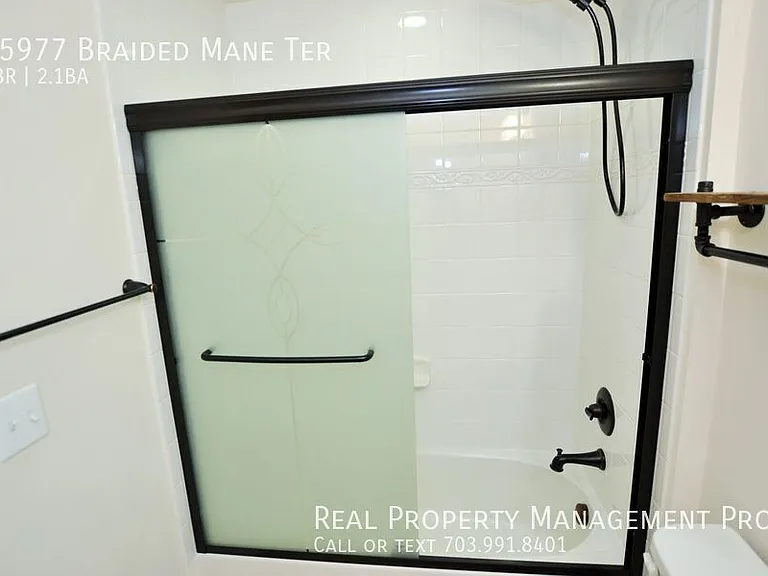 25977 Braided Mane Ter — Photo 25