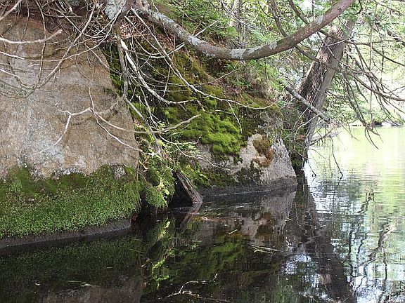 Small caves on rock face