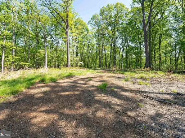 1000 Manning, Great Falls, VA 22066