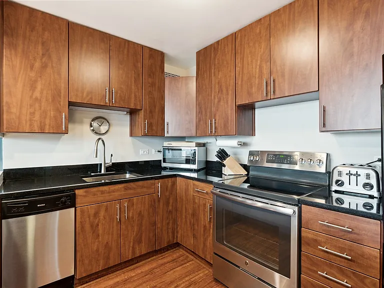 1255 N Sandburg Ter #2309 — Photo 8