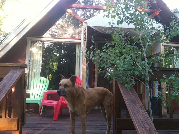 Covered canopy at entrance