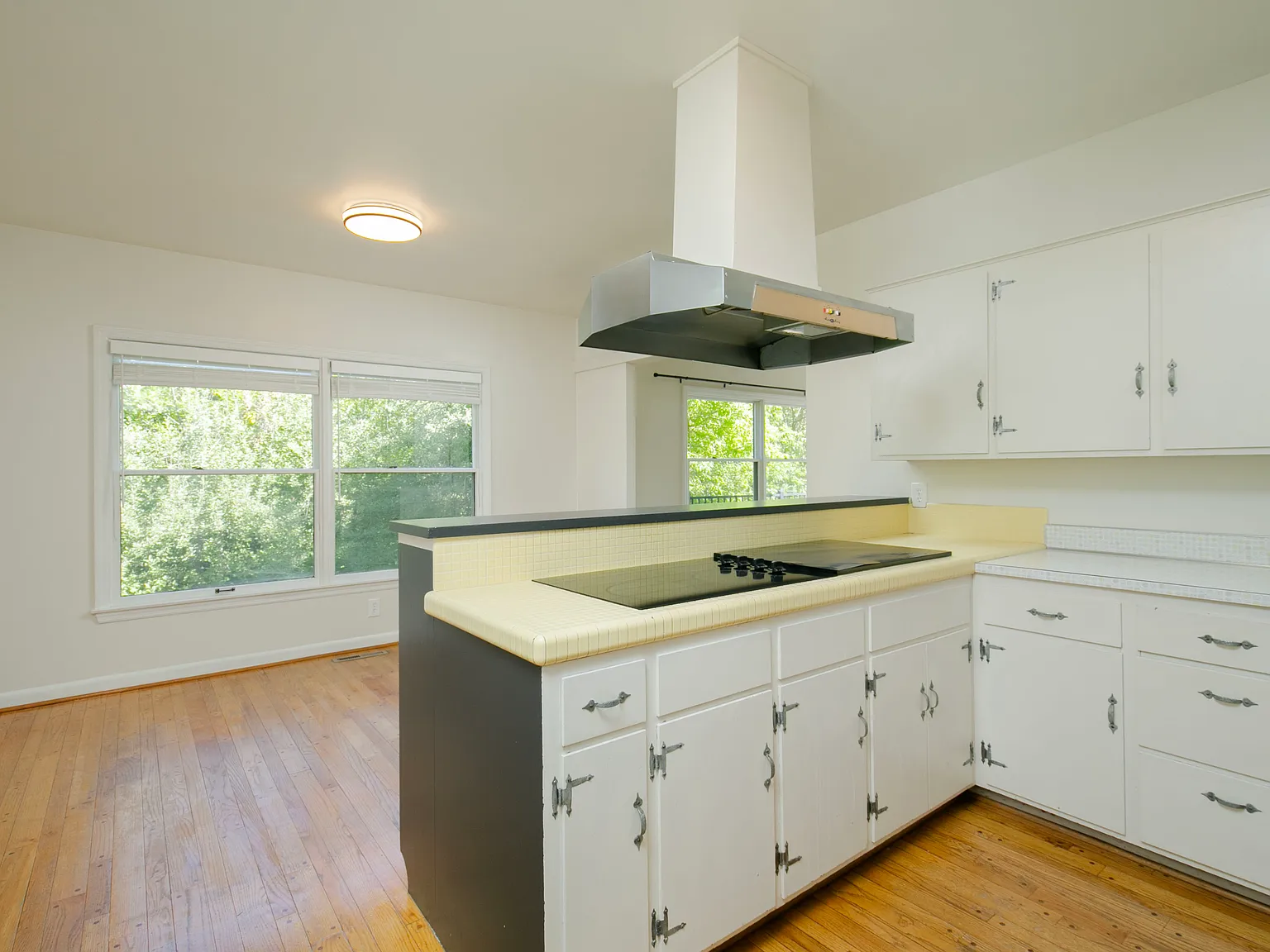 2 bed, 1000 sqft, $1,600 — Photo 4