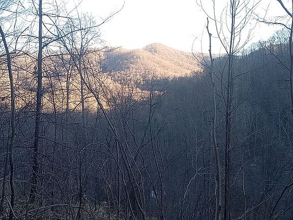 4th image of 0 Dan Branch Rd