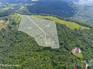 1264 Mountain Laurel Pkwy #8-9, Spruce Pine, NC 28777