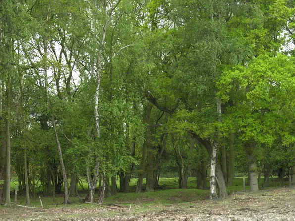 670 Middle Line Hwy, Sag Harbor, NY 11963