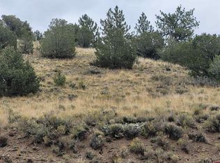 49249 County Road Ll56, Villa Grove, CO 81155