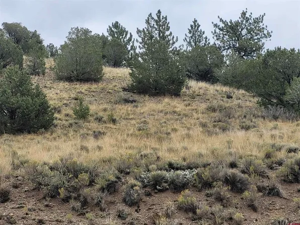 49249 County Road LL56, Villa Grove, CO 81155