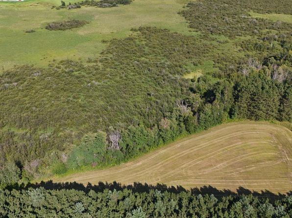 County Road 113, Brainerd, MN 56401