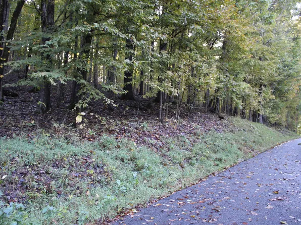 0 Palisades Dr #116 & 117, Eddyville, KY 42038